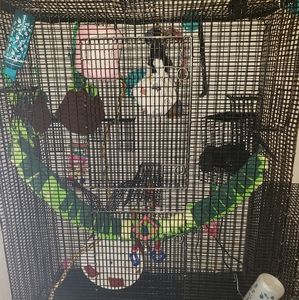Sugar glider set up